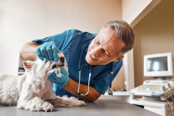 Best Pediatric Emergency Dentist in Coweta, OK